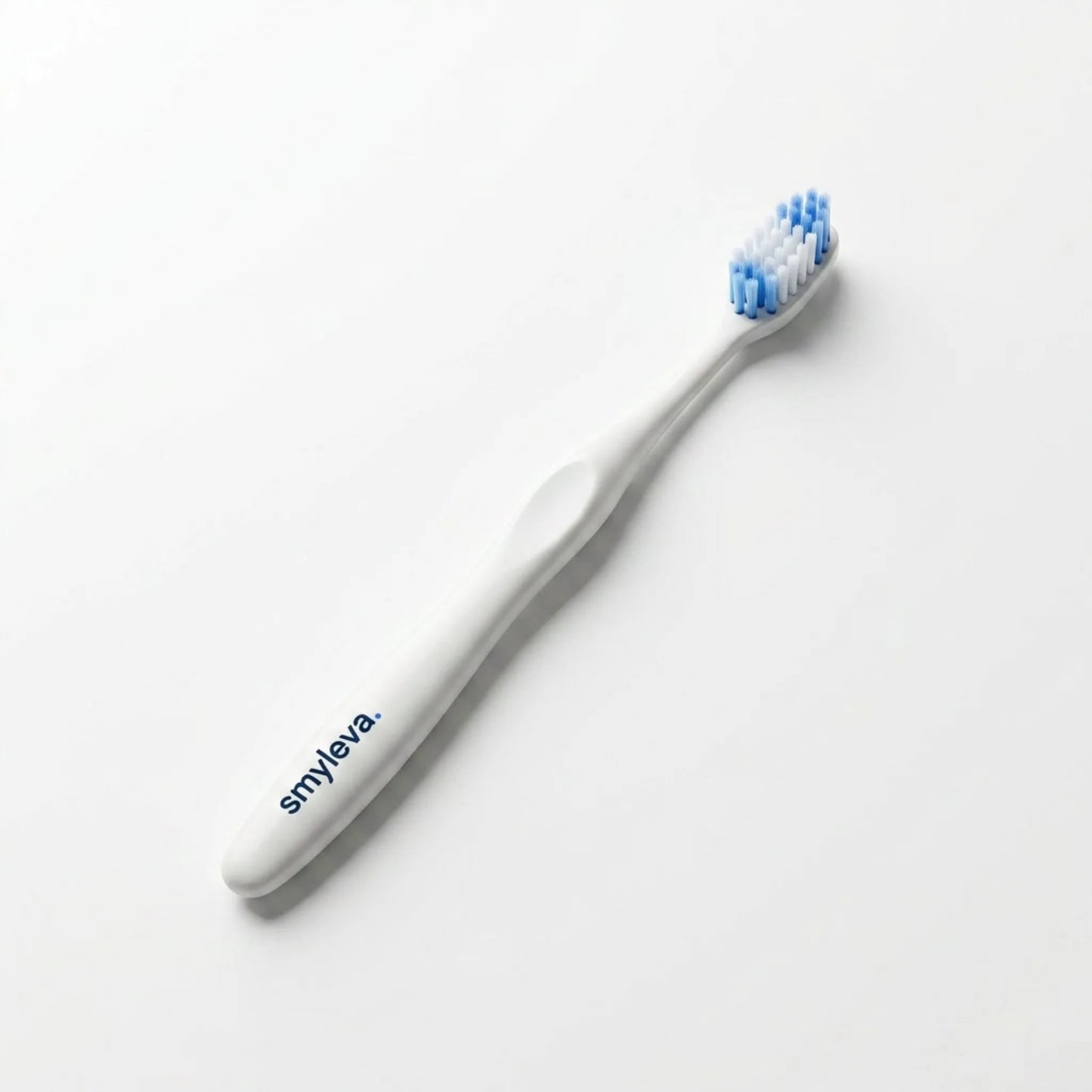 Brosse d'entretien - Smyleva