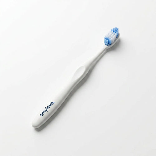 Brosse d'entretien - Smyleva